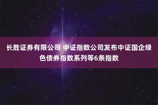 长胜证券有限公司 中证指数公司发布中证国企绿色债券指数系列等6条指数