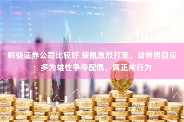 哪些证券公司比较好 袋鼠激烈打架，动物园回应：多为雄性争夺配偶，属正常行为